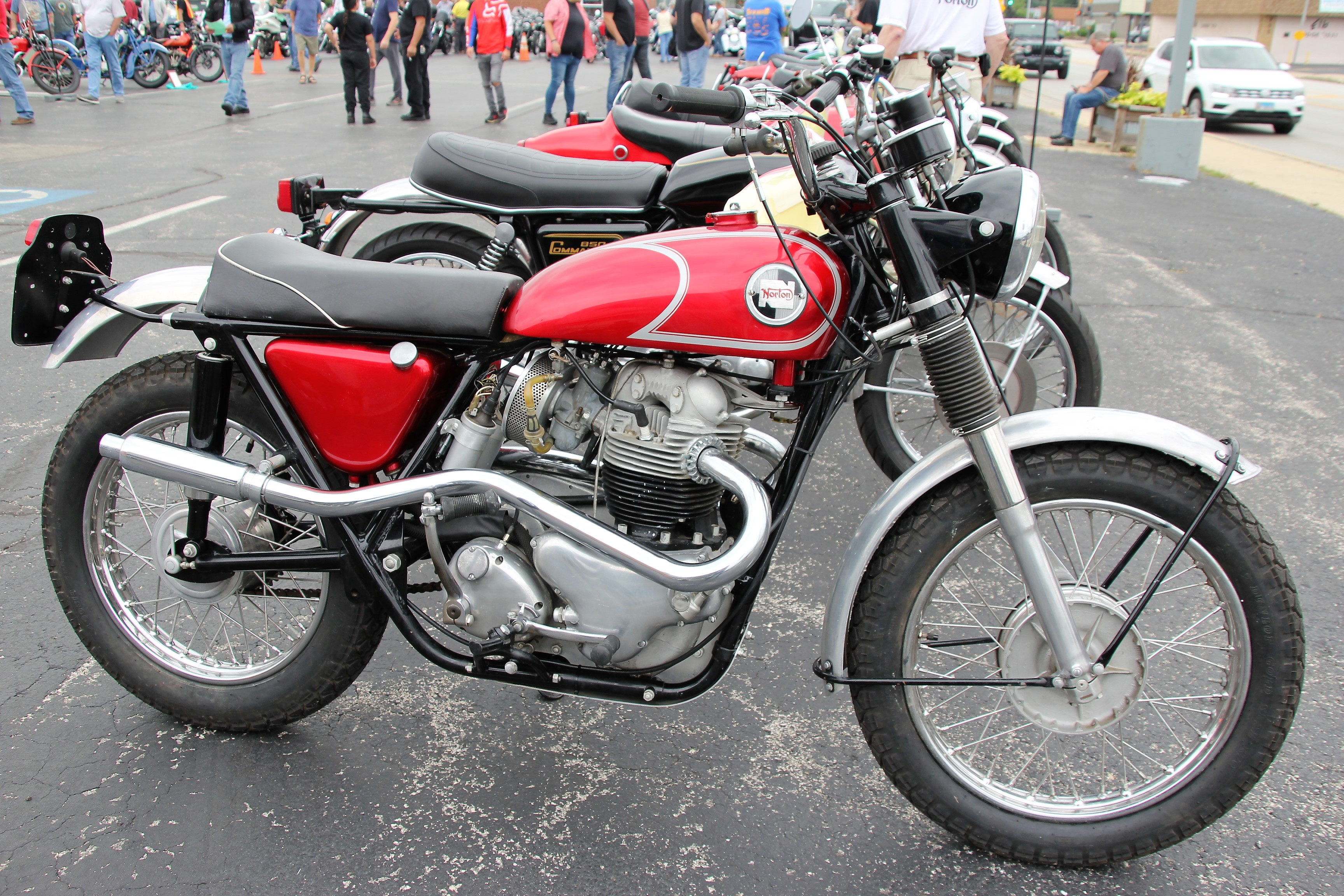 Norton